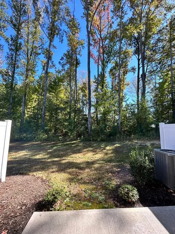 a view of a yard with plants and trees