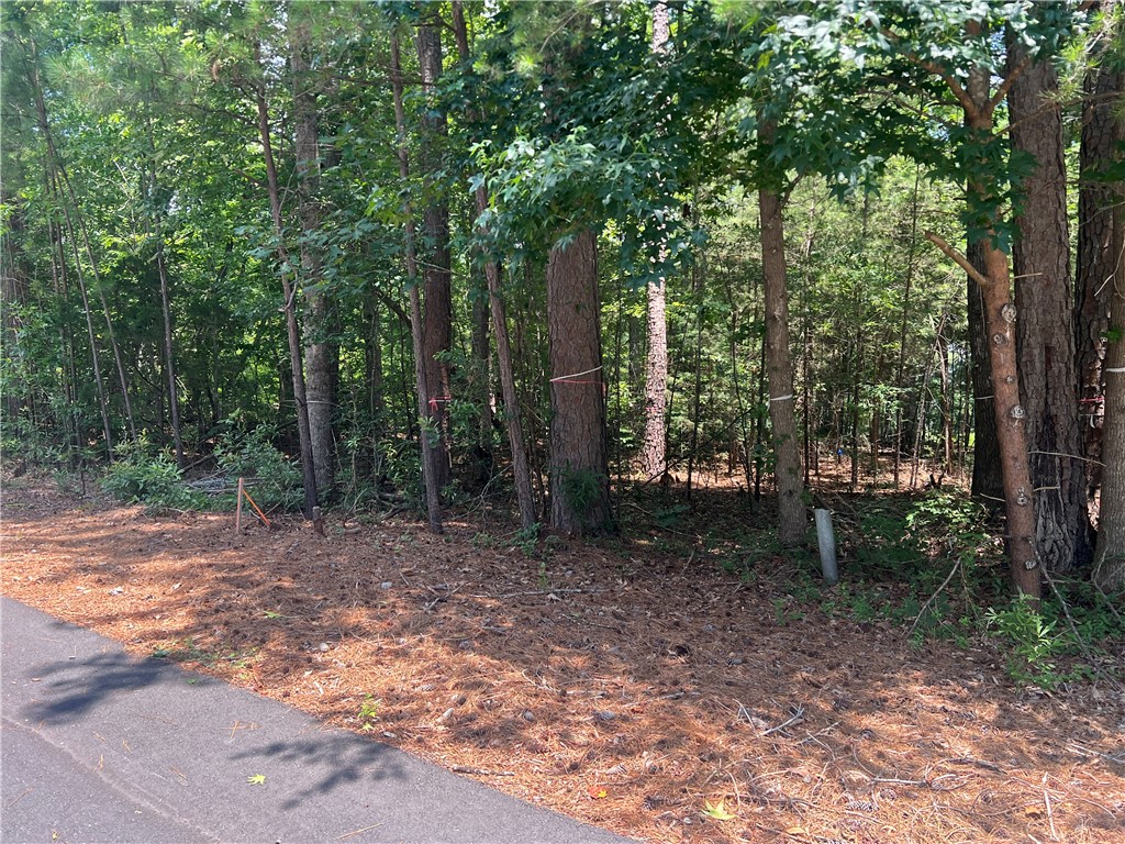 0 Promontory Ridge, Unit LOT 45 STILLWATER Seneca, SC 29672 - Photo 7 of 26