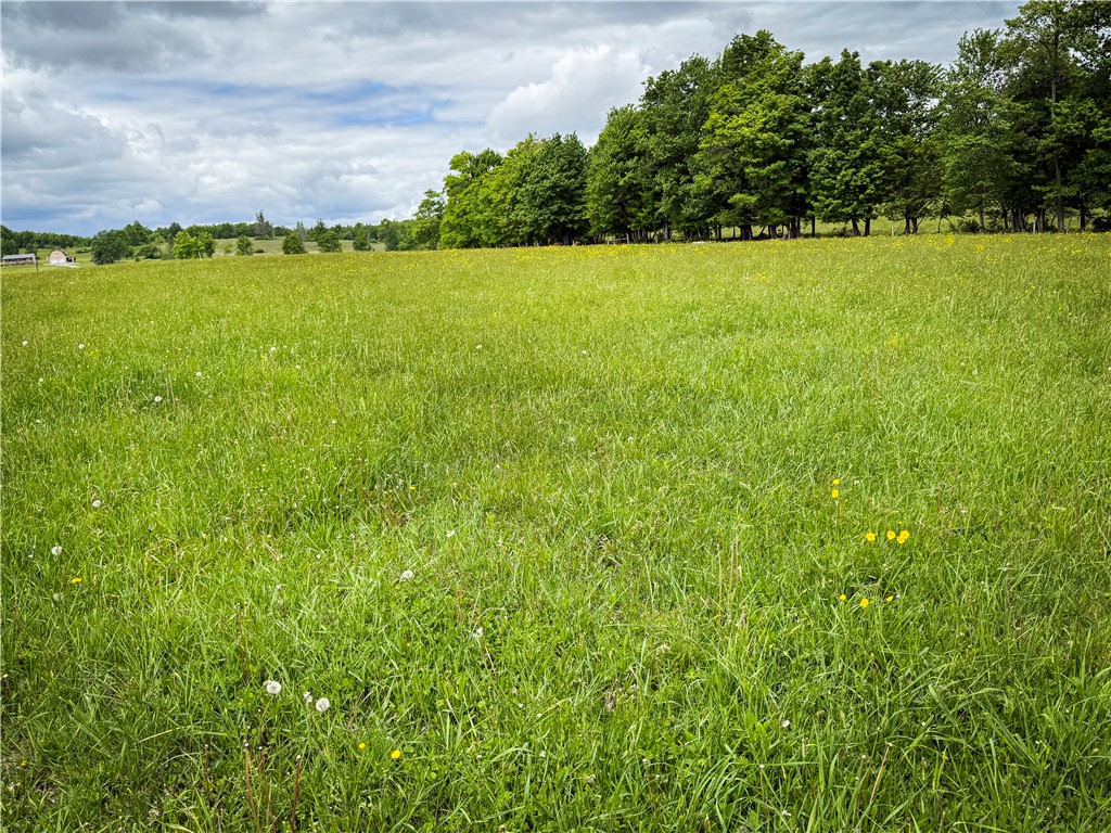 4 Putt Hill Road Chemung, NY 14825 - Photo 22 of 34 Gallery Image 22