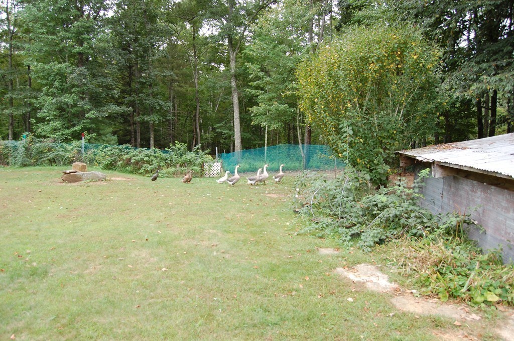 920 W Road New Braintree, MA 01531 - Photo 18 of 18