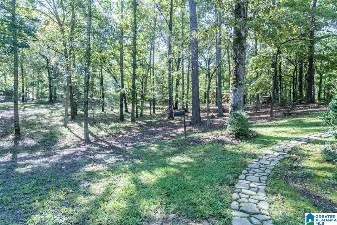 8849 Bluff Ridge Road Bessemer, AL 35022 - Photo 42 of 44 Gallery Image 42
