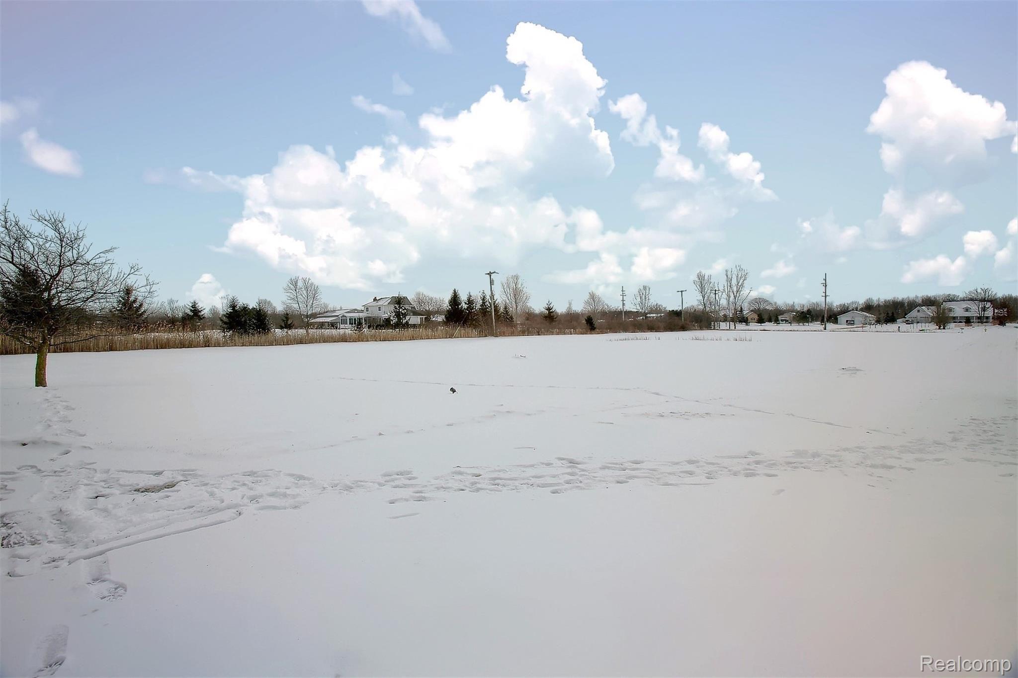 6350 Arnold Road Marine City, MI 48039 - Photo 12 of 13 Backyard.jpg