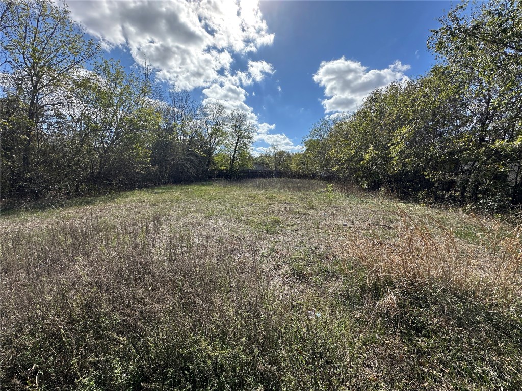 709 Locust Street Bastrop, TX 78602 - Photo 2 of 8 a view of a yard with a tree