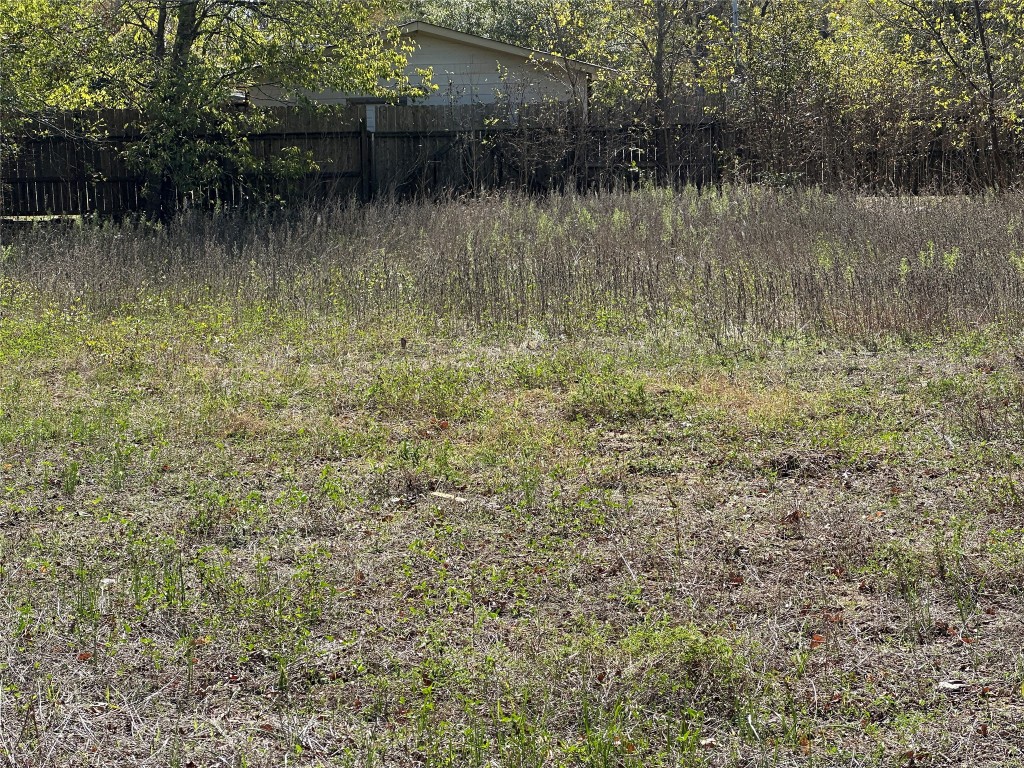 709 Locust Street Bastrop, TX 78602 - Photo 3 of 8 a view of a lake view