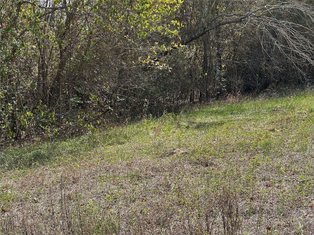 709 Locust Street Bastrop, TX 78602 - Photo 4 of 8 a view of outdoor space and a yard