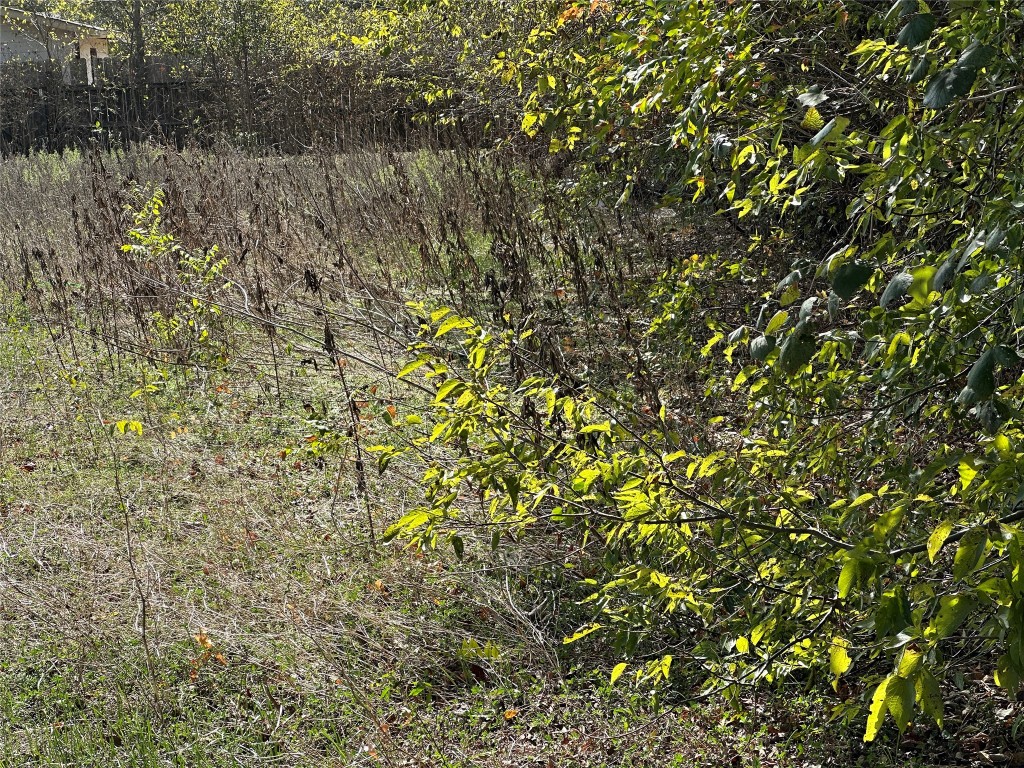 709 Locust Street Bastrop, TX 78602 - Photo 5 of 8 a view of a lake with a tree