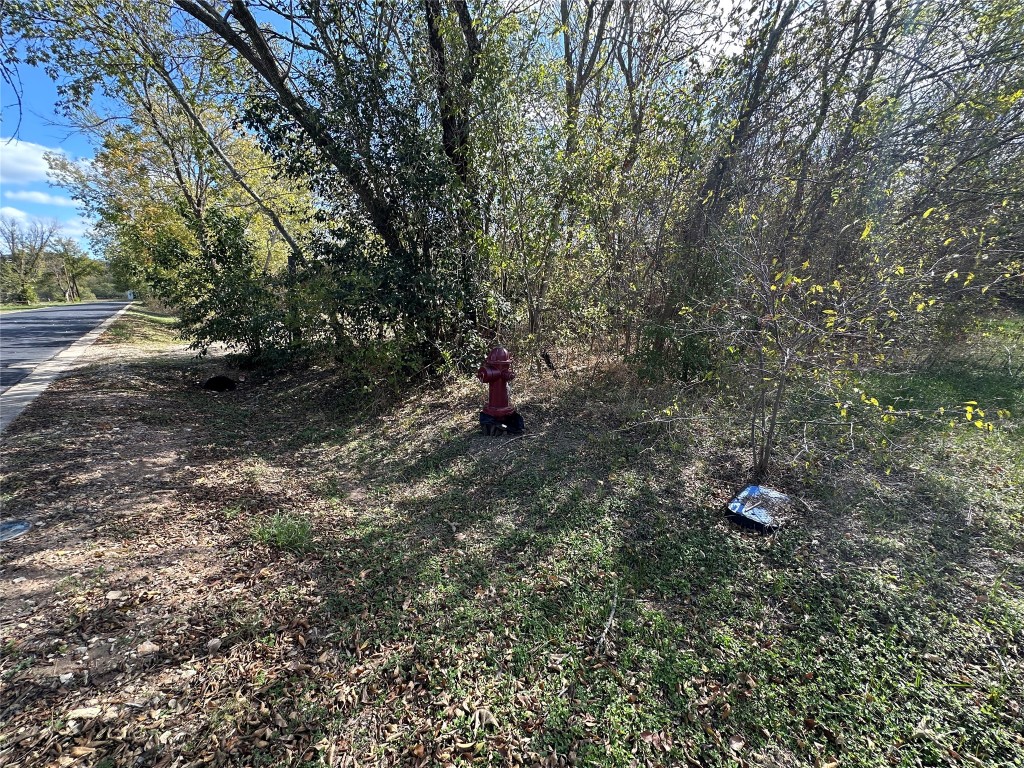 709 Locust Street Bastrop, TX 78602 - Photo 7 of 8 a backyard of a house with lots of green space