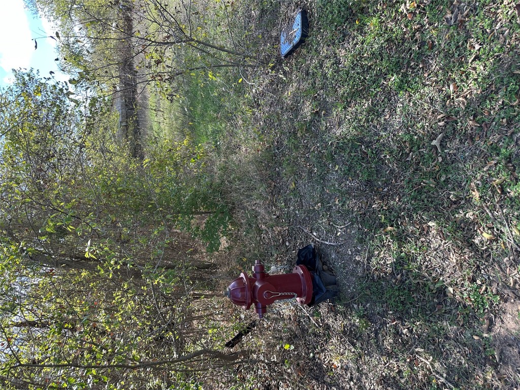 709 Locust Street Bastrop, TX 78602 - Photo 8 of 8 a backyard of a house with a yard and fountain