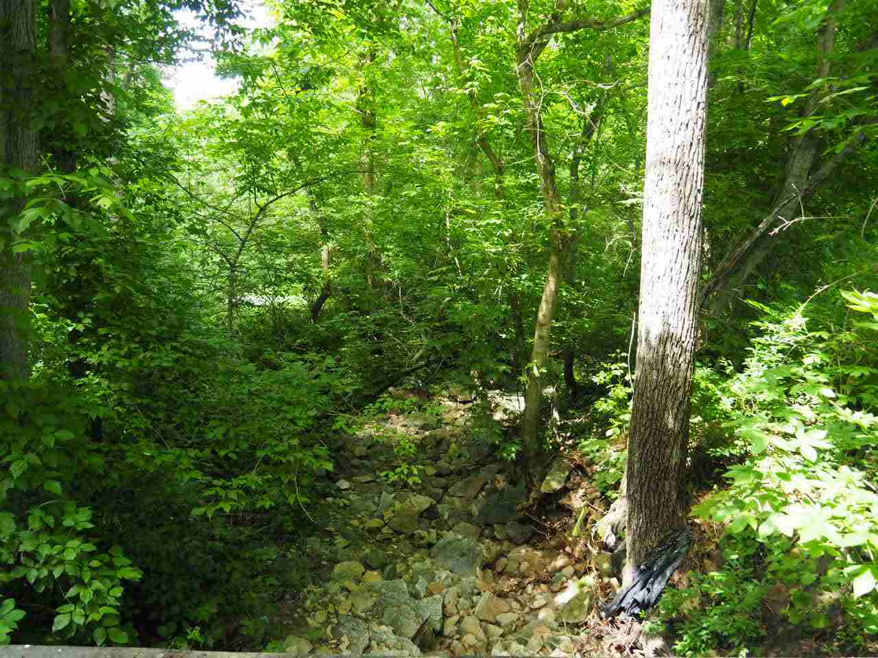 451 Rifle Range Road Alexandria, KY 41001 - Photo 9 of 29 Gallery Image 9