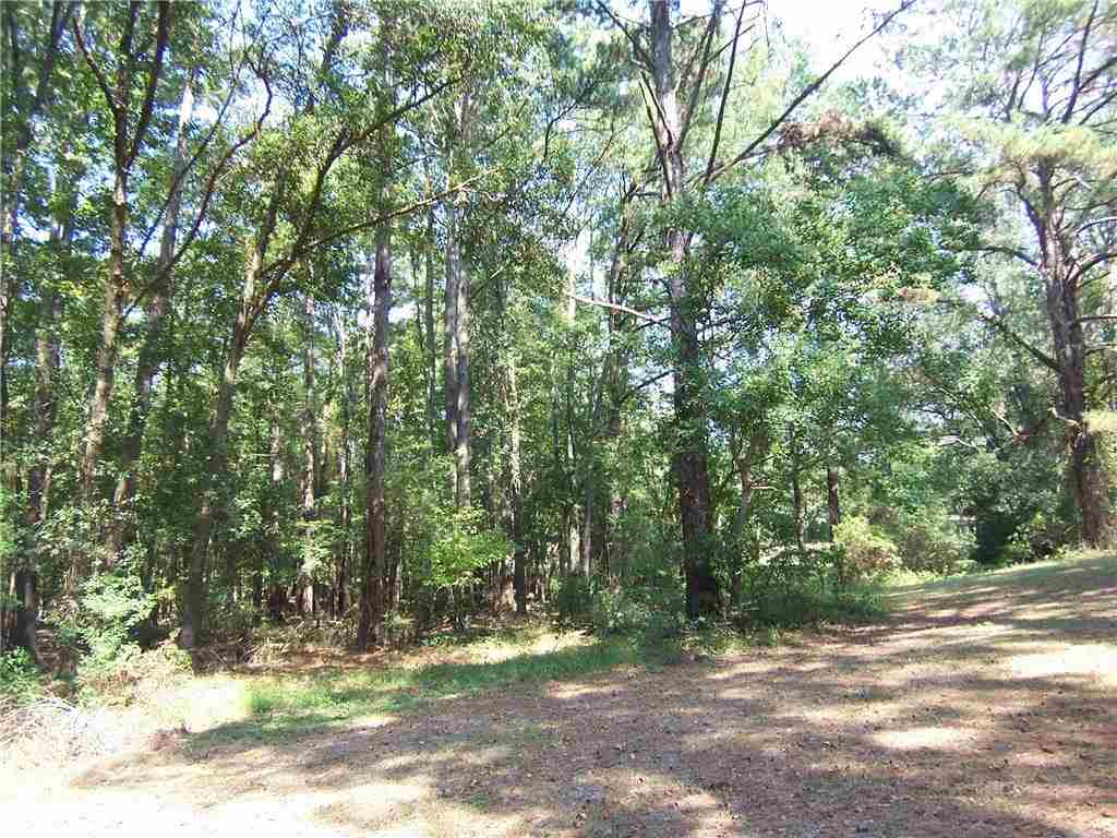 3831 Rigolette Road Pineville, LA 71360 - Photo 17 of 18
