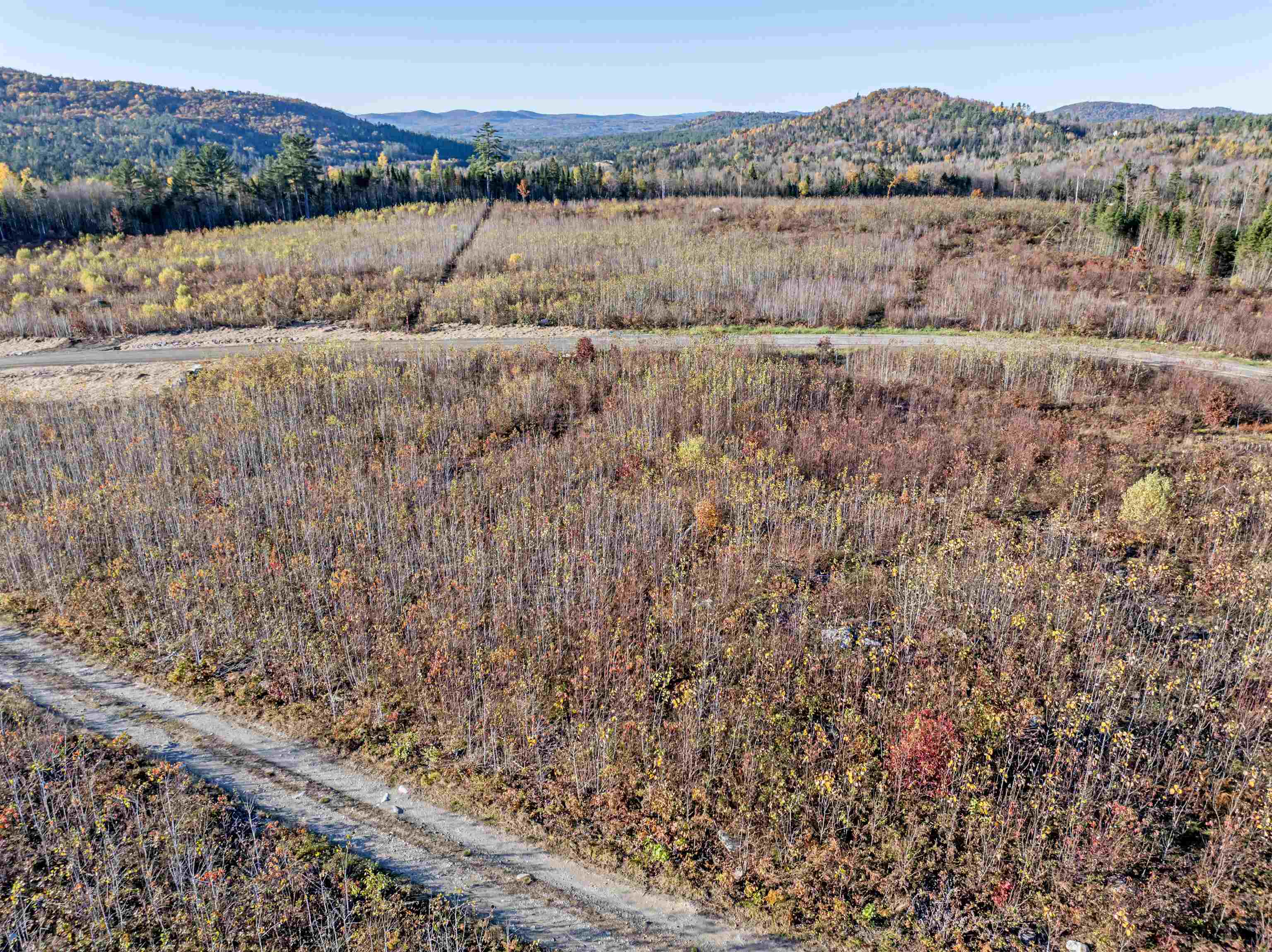 Lot 10 Mcintyre Road Dalton, NH 03598 - Photo 2 of 3