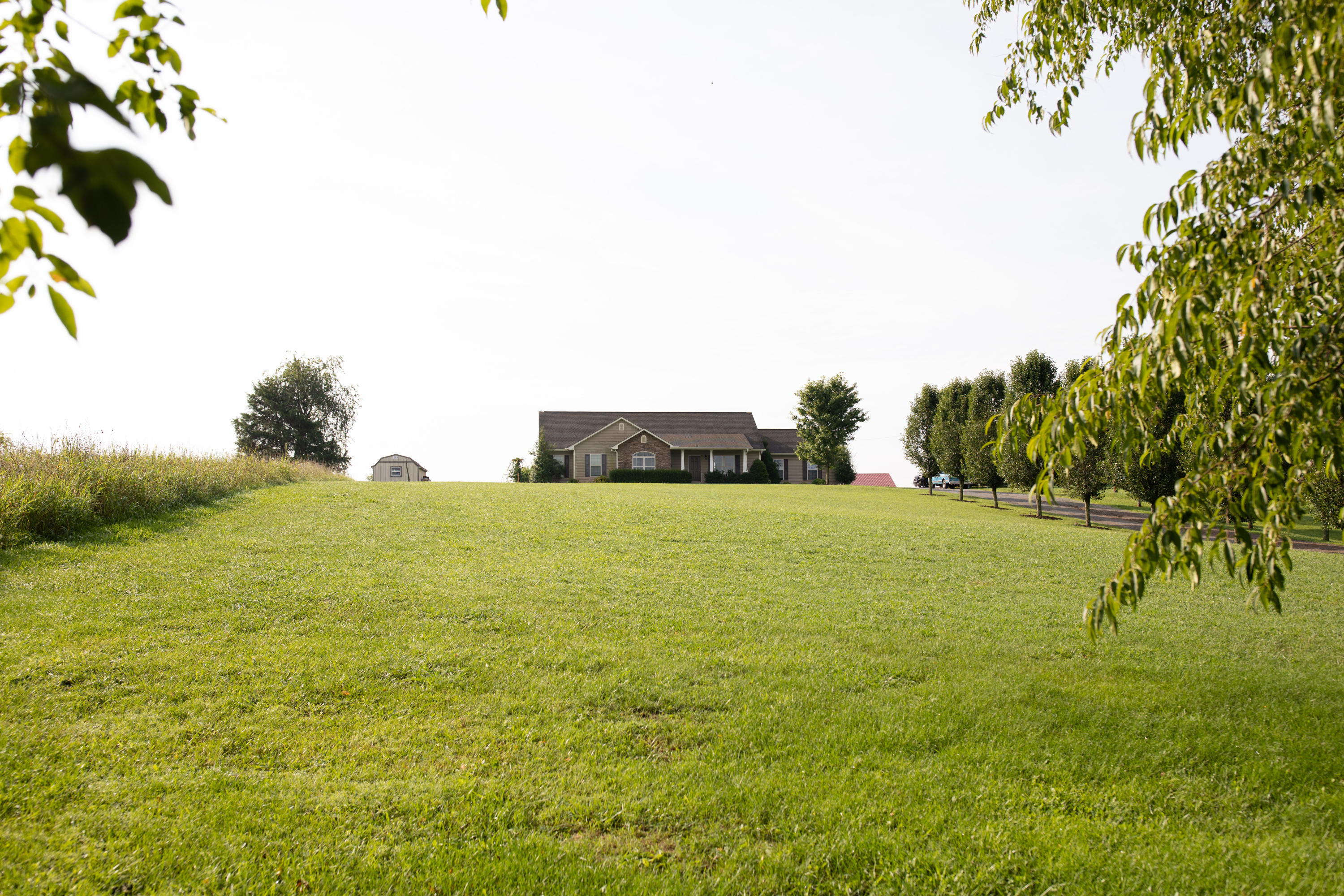 442 Culver Road Limestone, TN 37681 - Photo 52 of 59 Home