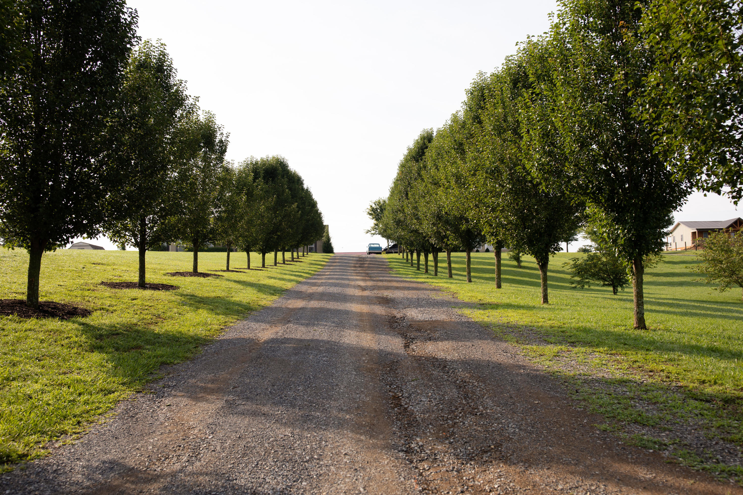 442 Culver Road Limestone, TN 37681 - Photo 6 of 59 Driveway