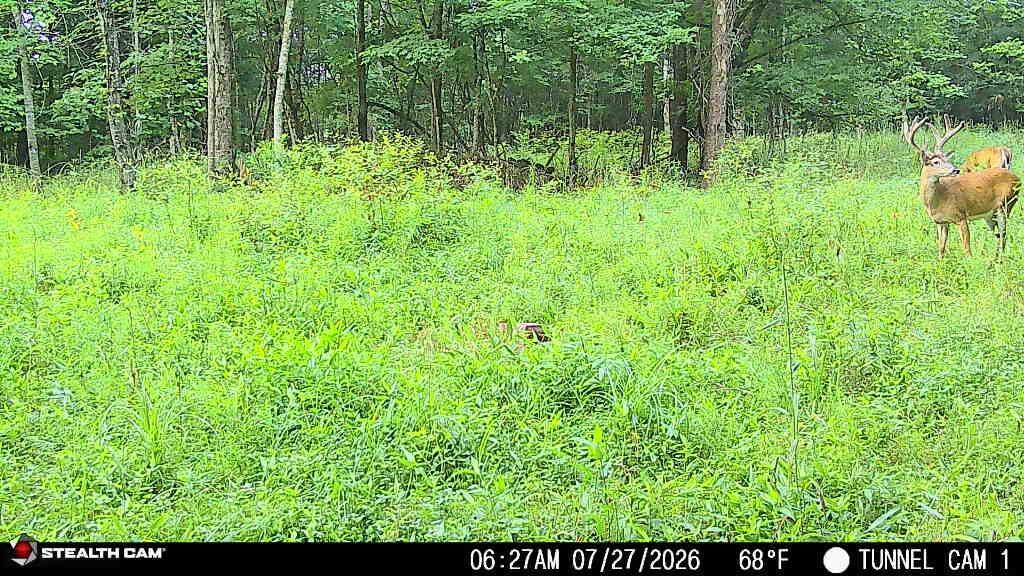 1271 A Tunnel Ridge Road Grayson, KY 41143 - Photo 126 of 134 7.29.26 01
