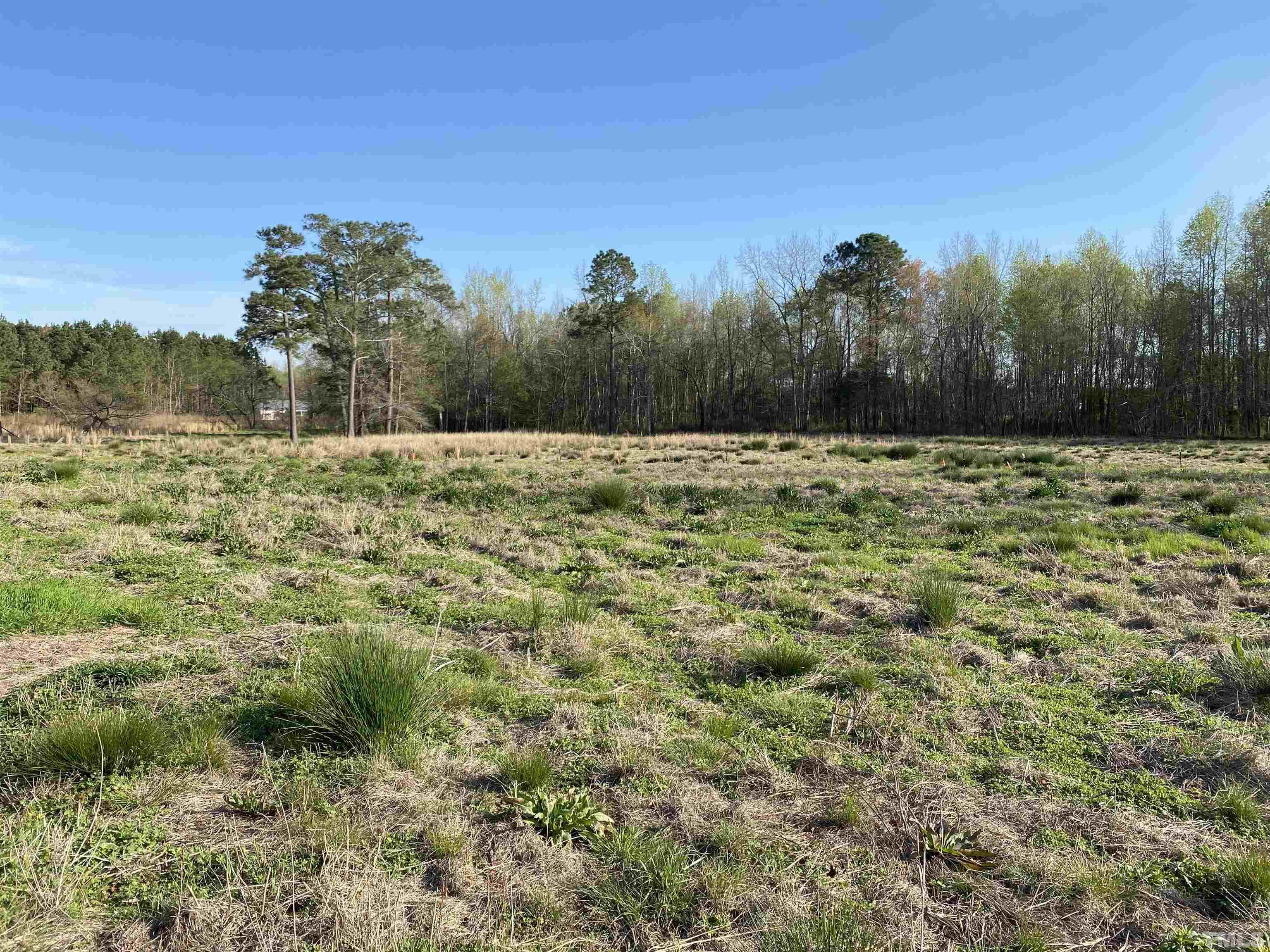 569 Smith Road Smithfield, NC 27577 - Photo 28 of 46 Gallery Image 28