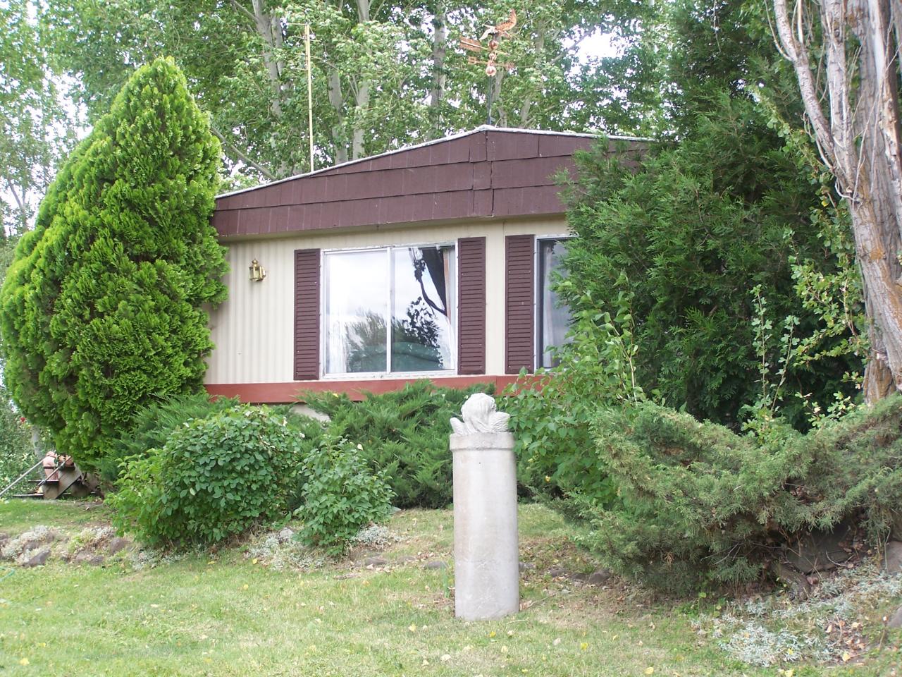 1962-1964 Cook Road Yakima, WA 98908 - Photo 3 of 3 a view of a house with a yard plants and large tree