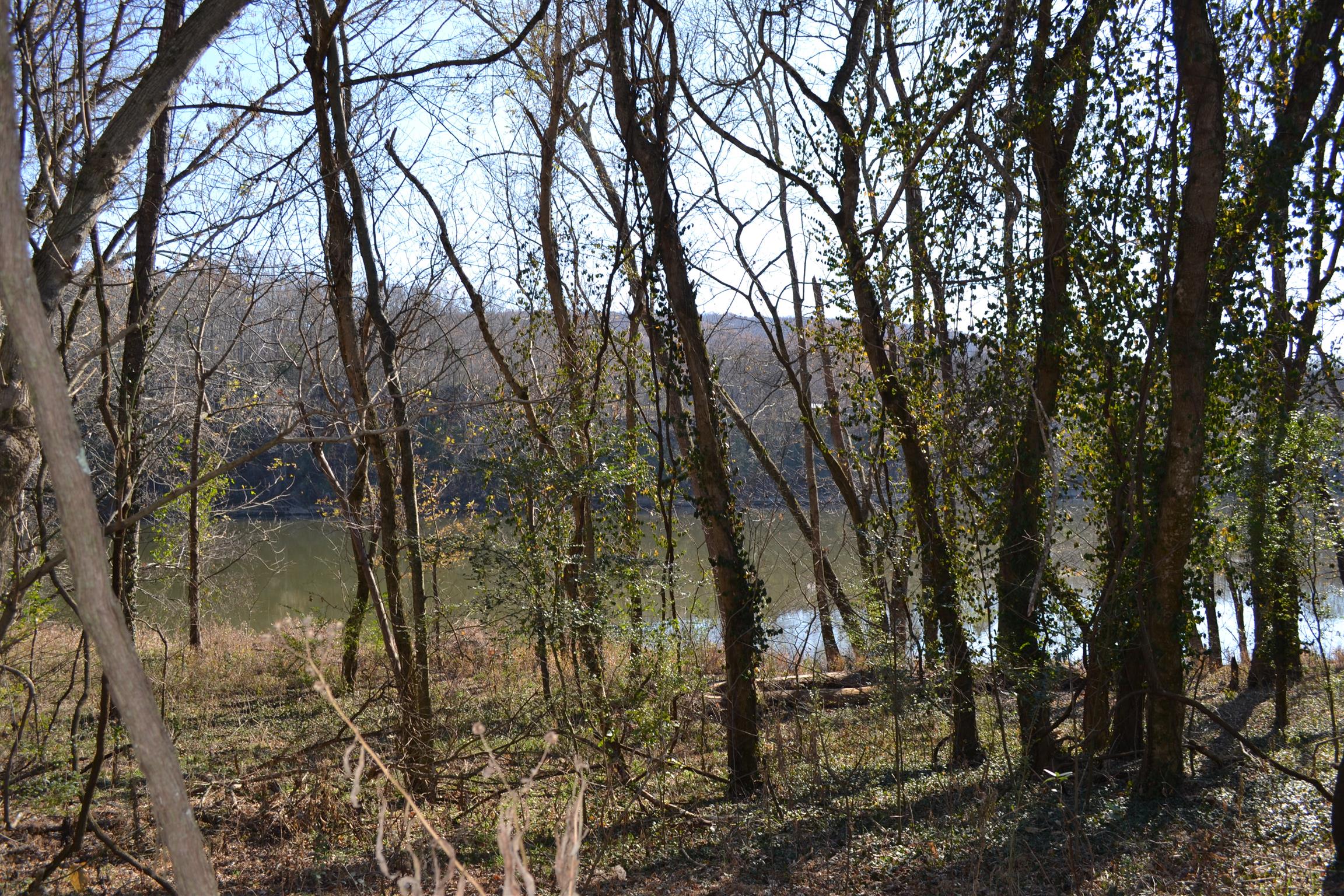 1 Rome Road Dixon Springs, TN 37057 - Photo 3 of 8 Gallery Image 3