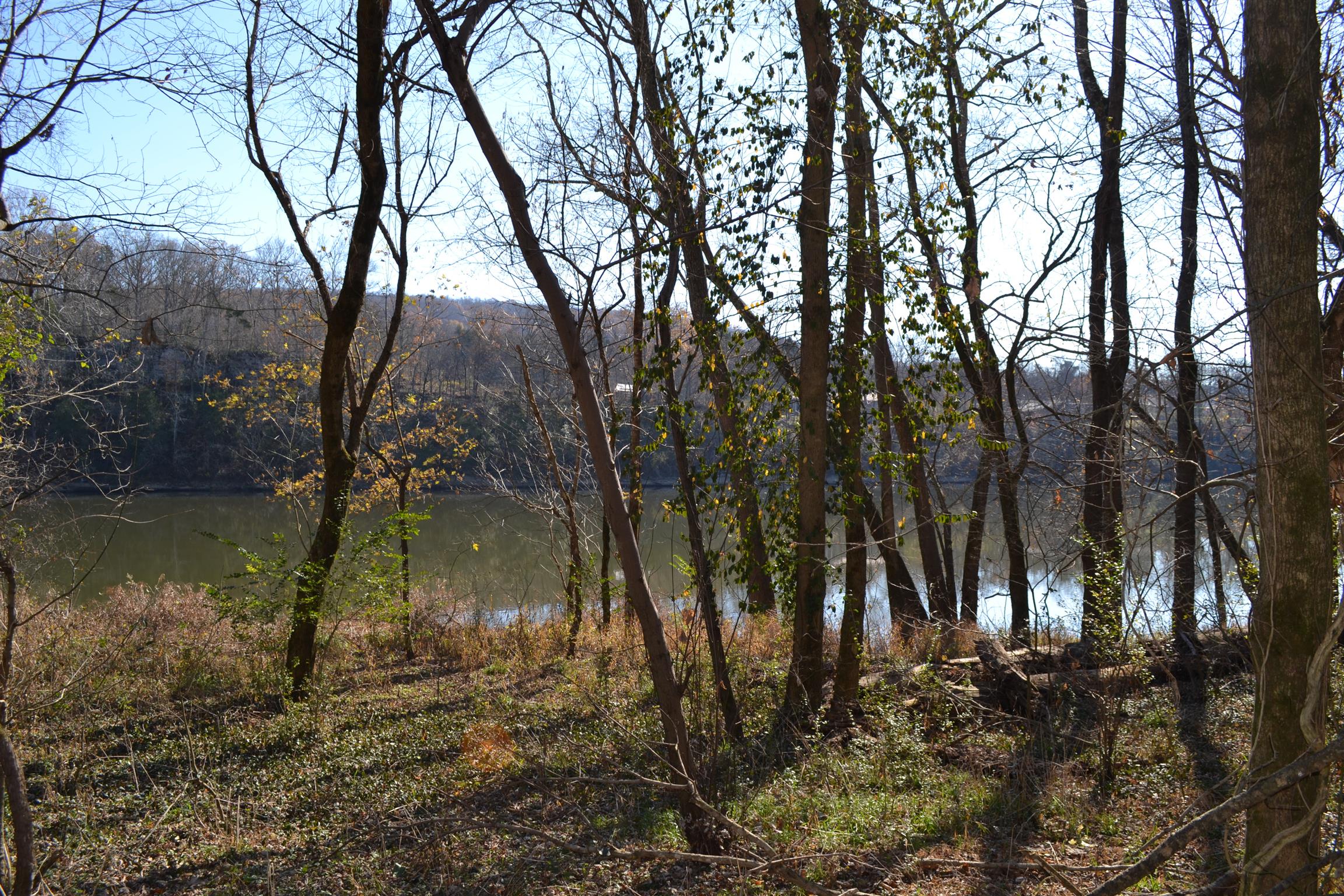 1 Rome Road Dixon Springs, TN 37057 - Photo 4 of 8 Gallery Image 4
