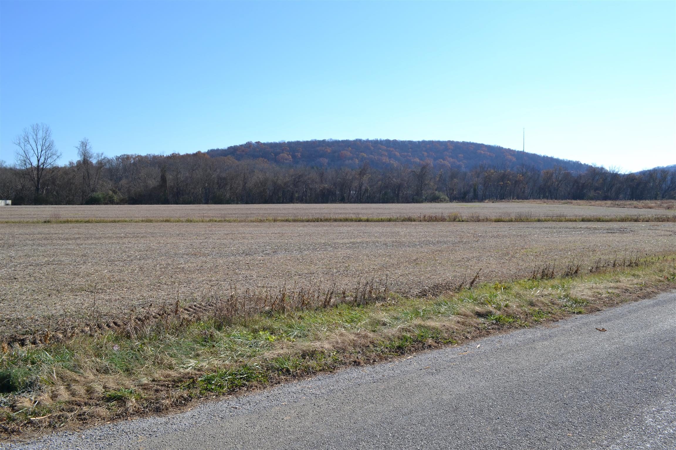 1 Rome Road Dixon Springs, TN 37057 - Photo 5 of 8 Gallery Image 5