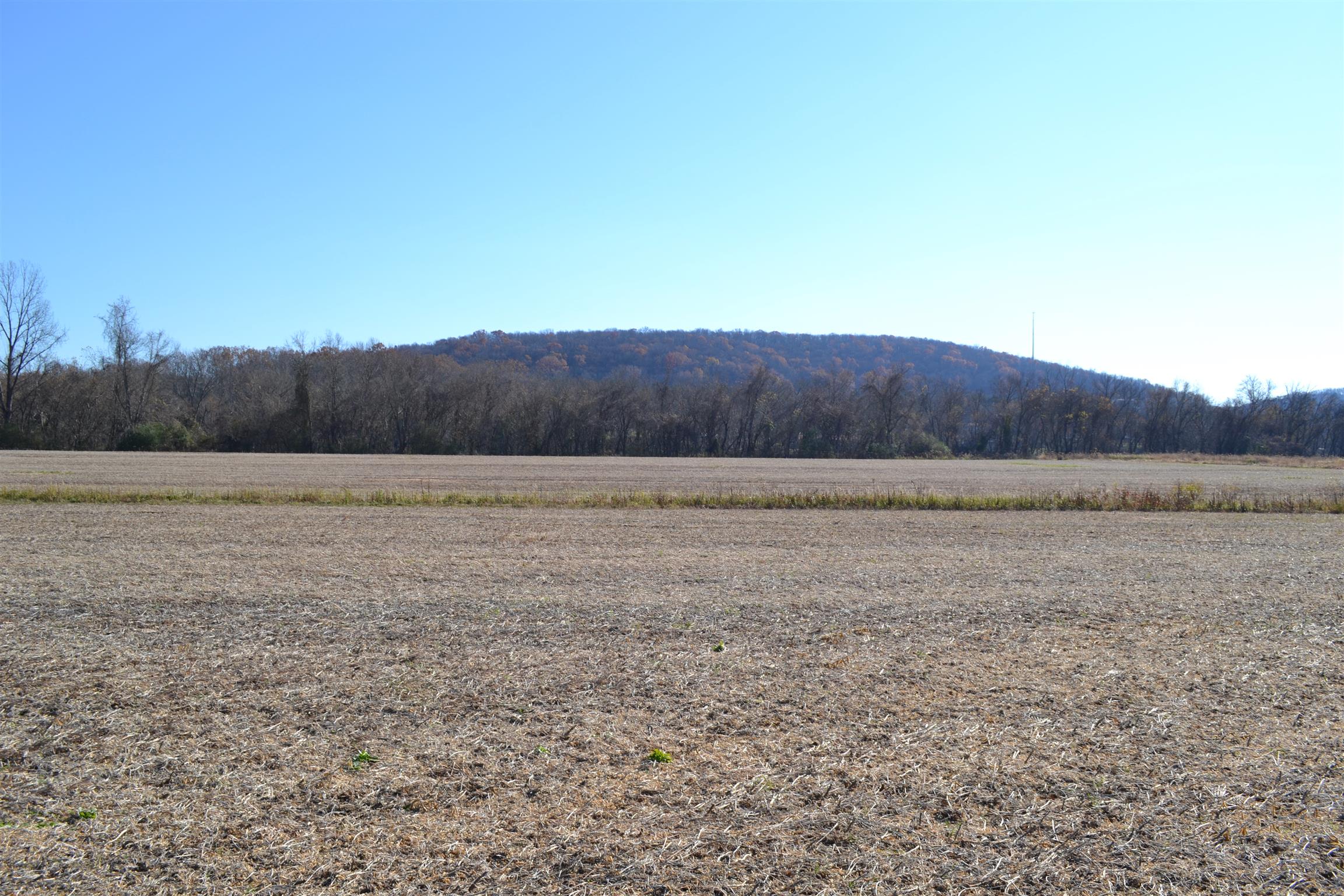 1 Rome Road Dixon Springs, TN 37057 - Photo 6 of 8 Gallery Image 6