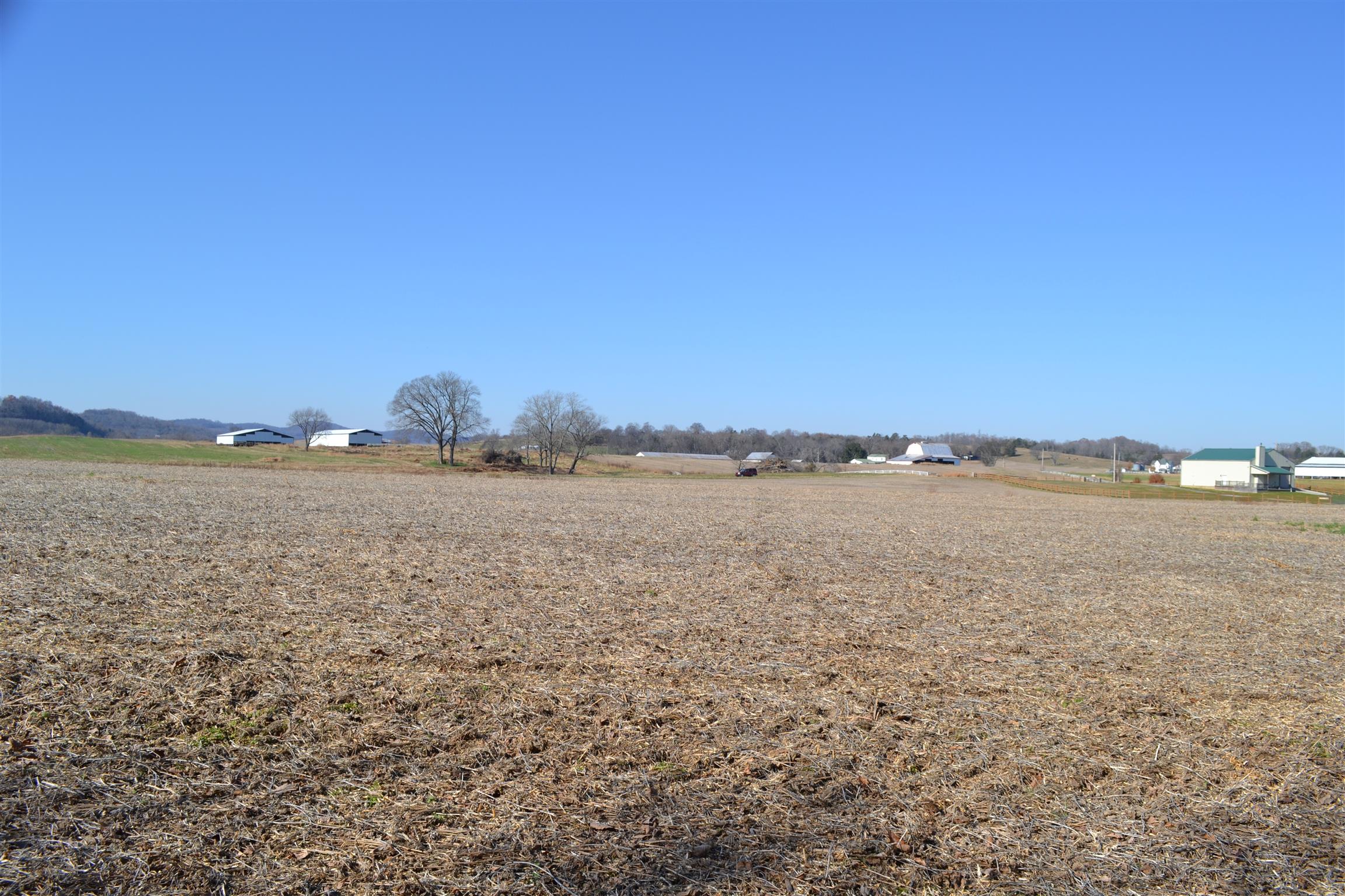 1 Rome Road Dixon Springs, TN 37057 - Photo 7 of 8 Gallery Image 7