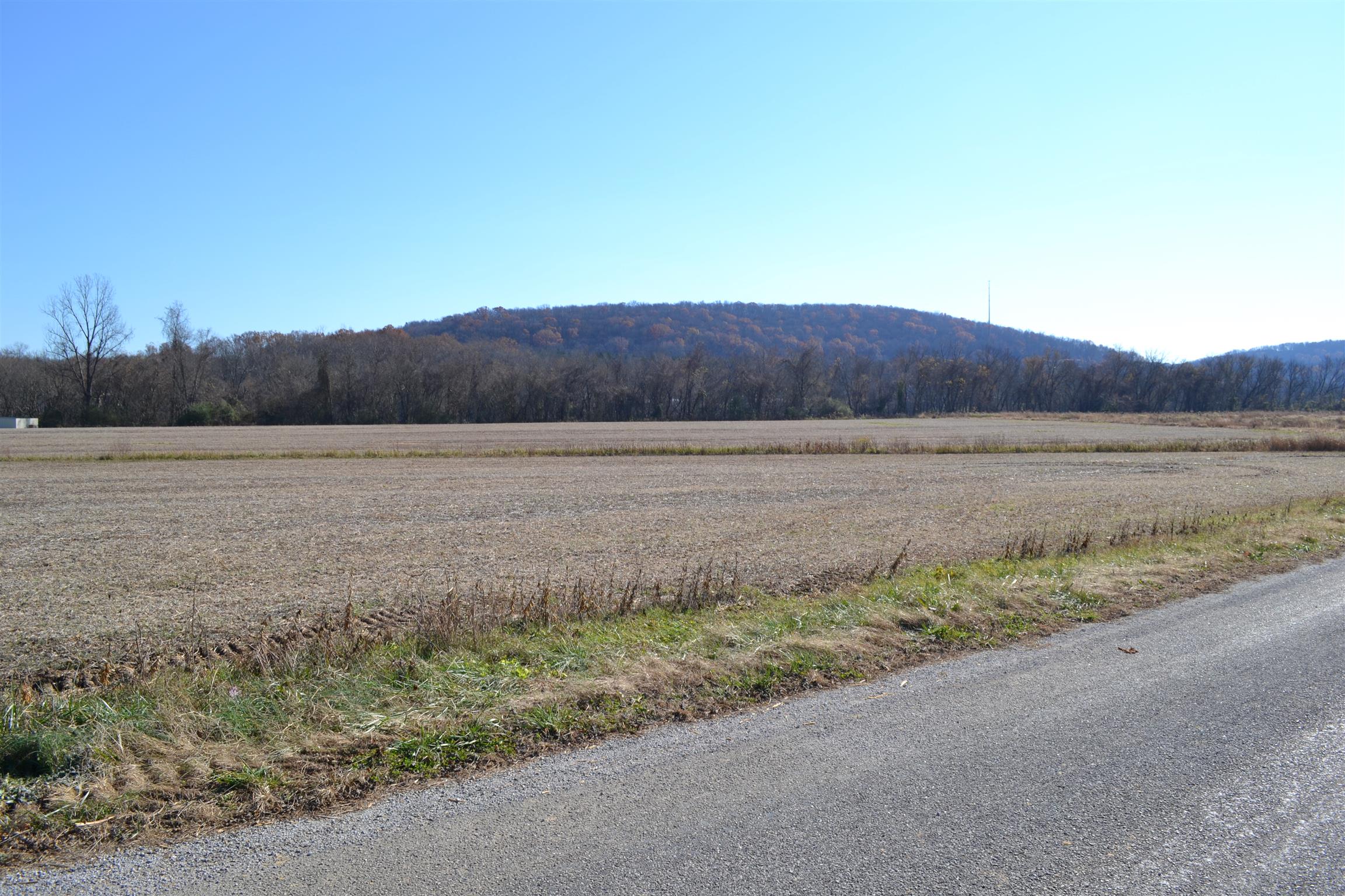 1 Rome Road Dixon Springs, TN 37057 - Photo 8 of 8 Gallery Image 8