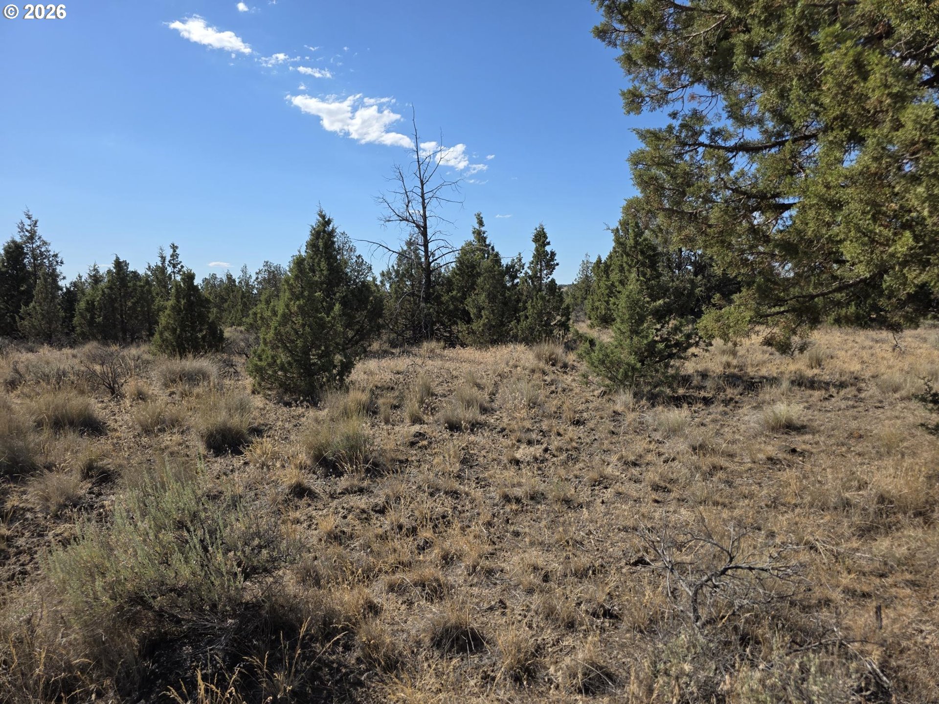 Southeast Cayuse Road, Unit TL1000 Prineville, OR 97754 - Photo 5 of 5