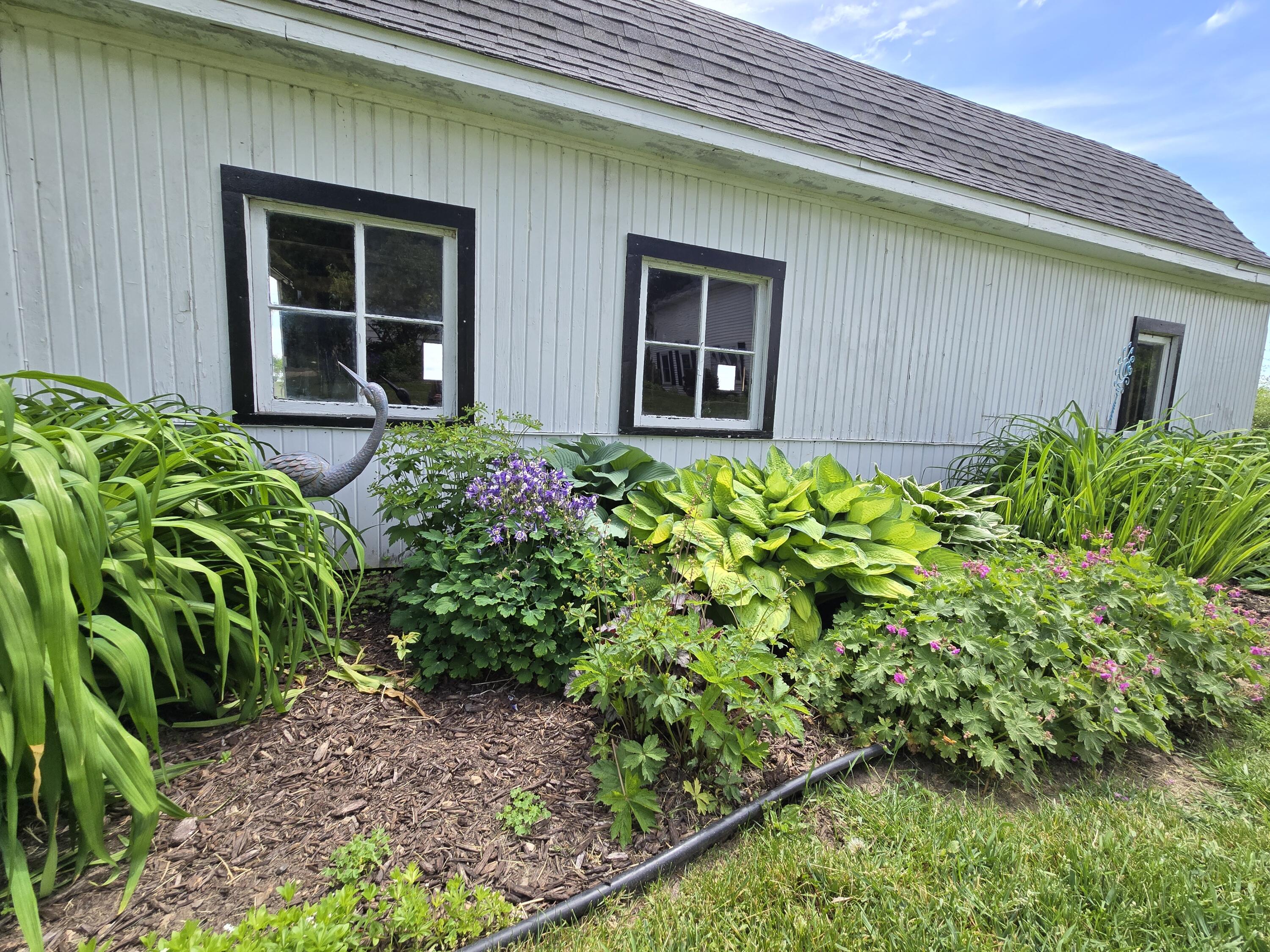 E6791 A County Road Viroqua, WI 54665 - Photo 51 of 61 Established Perennials