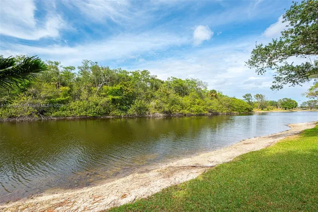 a view of a lake from a yard