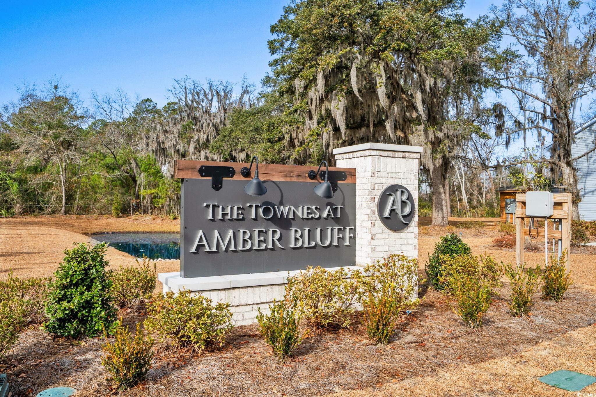 608 Golden Resin Road Conway, SC 29526 - Photo 38 of 40