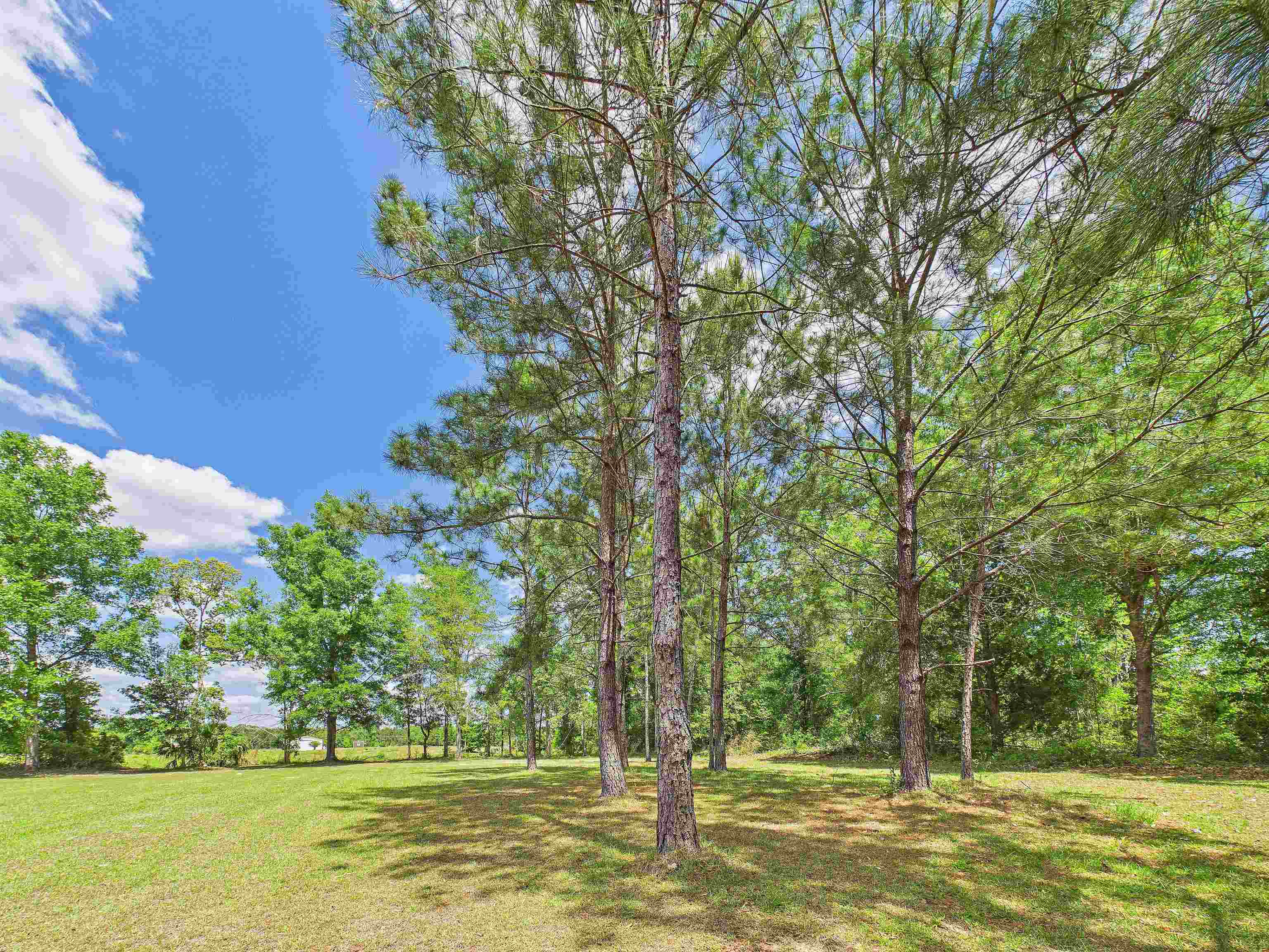 2150 Golf Course Road Perry, FL 32348 - Photo 39 of 41