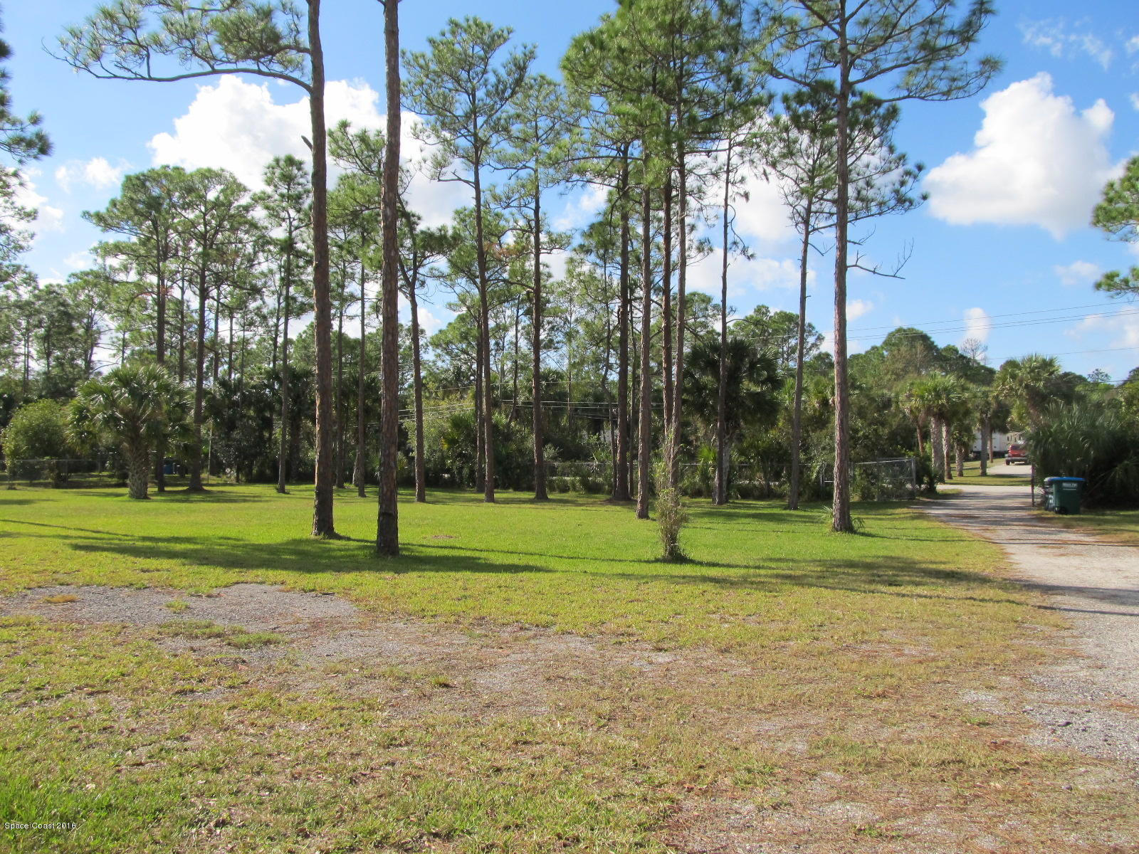 3775 Corey Road Grant Valkaria, FL 32950 - Photo 4 of 12 a green field with lots of trees