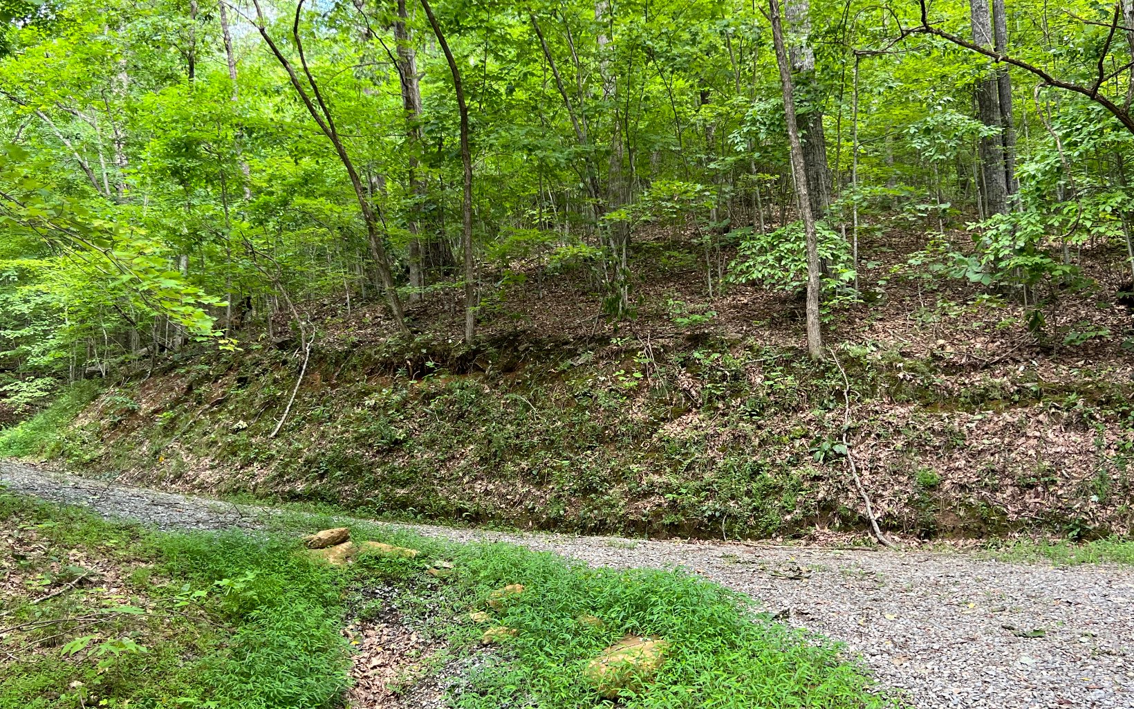L87 Wolf Mountain Road Murphy, NC 28906 - Photo 5 of 26 Additional View