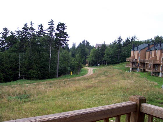 47 Powderidge Road, Unit 41 Snowshoe, WV 26209 - Photo 17 of 19 Gallery Image 17