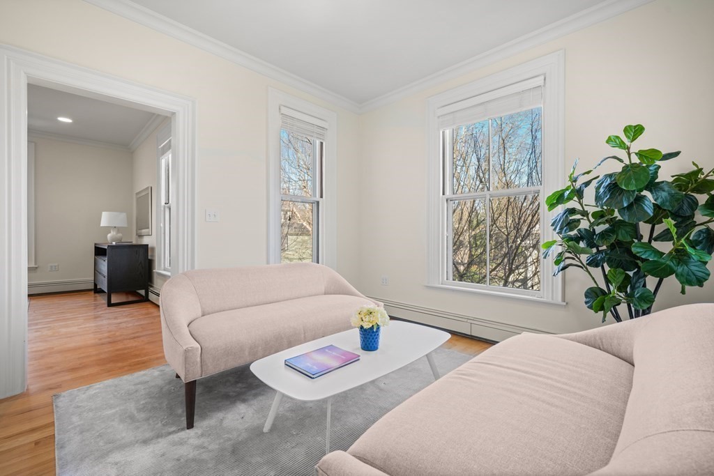 105 Eldredge Street Newton, MA 02458 - Photo 28 of 42 a living room with furniture and a potted plant