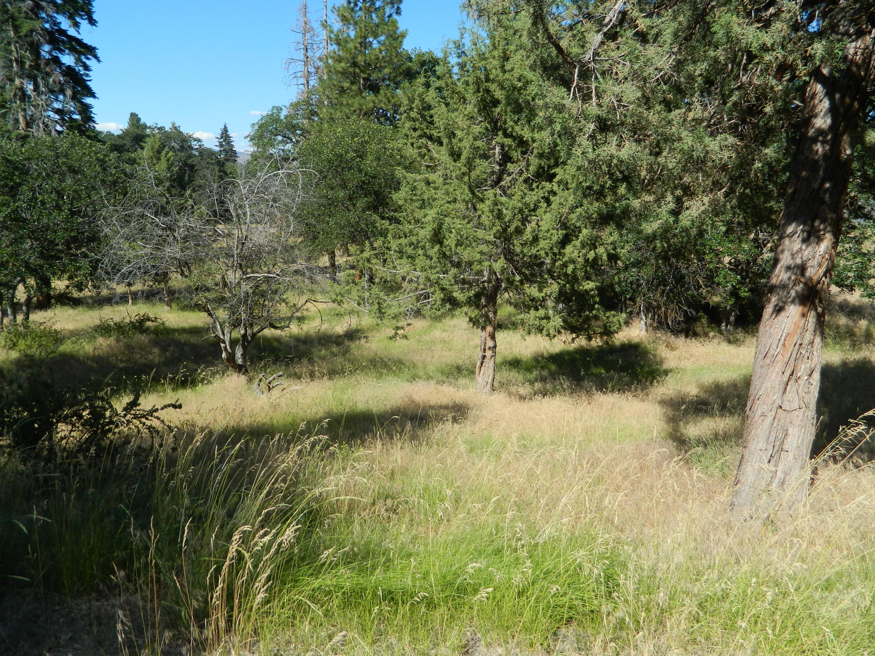 Lot 916 Redstart Road Klamath Falls, OR 97601 - Photo 2 of 5 DSCN1253