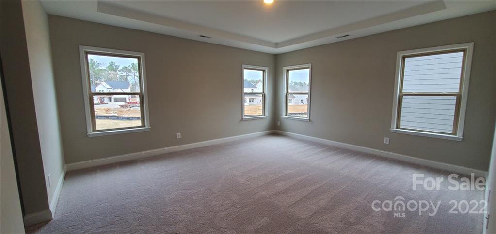 15205 Shallow Ridge Road Charlotte, NC 28278 - Photo 8 of 47 Gallery Image 8