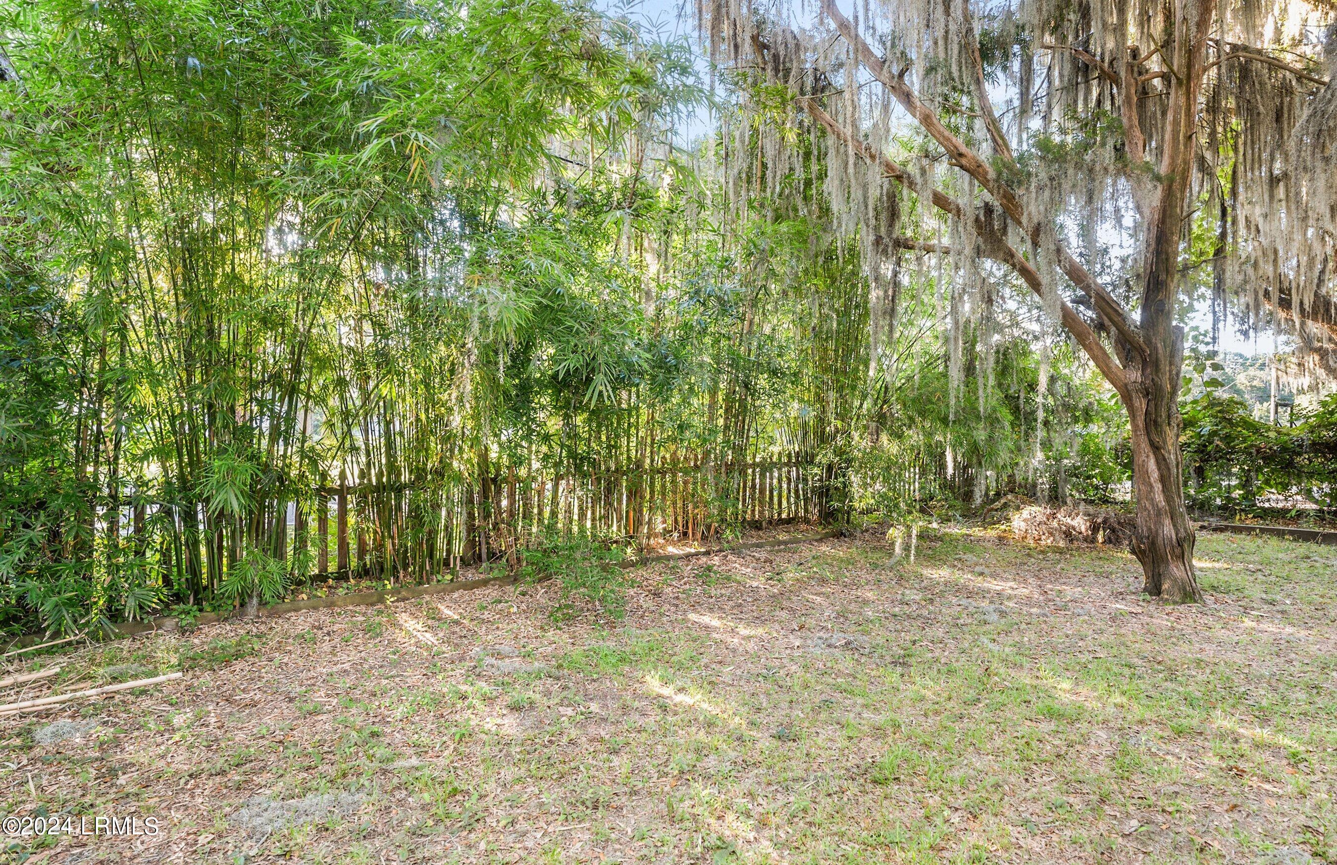 2800 Mossy Oaks Road Beaufort, SC 29902 - Photo 36 of 48 DSC02519-163-1.jpg-SMALL