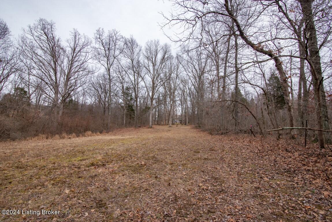 117 Rhodelia Road Payneville, KY 40157 - Photo 50 of 69 117 Rhodelia Road-49