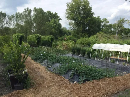 $1,775,000 | 461 Peavey Lane, Wayzata, MN 55391