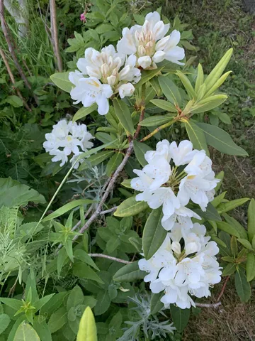 $489,000 | 6 Pleasant Street, Lubec, ME 04652