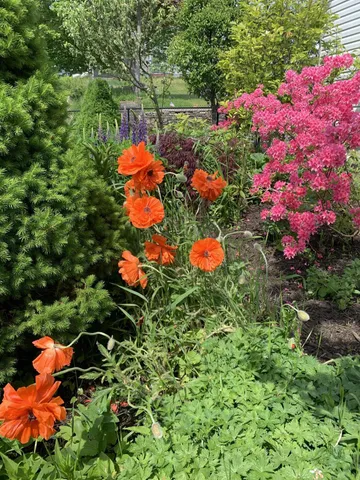 $489,000 | 6 Pleasant Street, Lubec, ME 04652