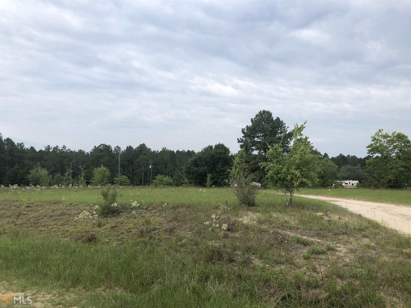 1940 Jackson Road Roberta, GA 31078 - Photo 1 of 1
