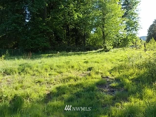 3648 Delphi Road Southwest Olympia, WA 98512 - Photo 9 of 25 Gallery Image 9