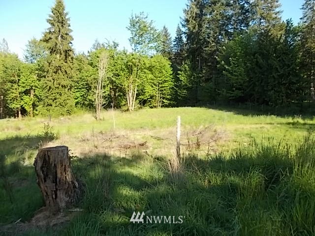 3648 Delphi Road Southwest Olympia, WA 98512 - Photo 10 of 25 Gallery Image 10