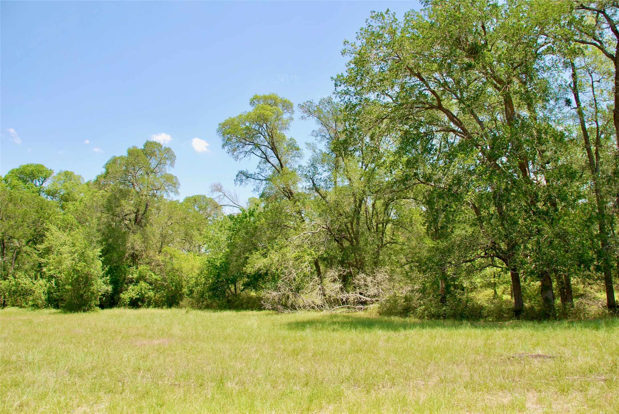 2340 Langdon Road Weimar, TX 78962 - Photo 11 of 26