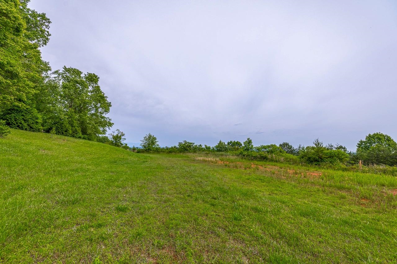 0 Howard Gap Inman, SC 29349 - Photo 11 of 42