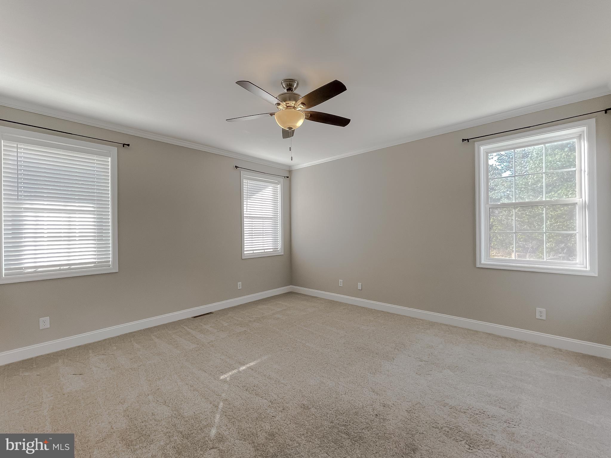 22030 Cartwright Road Leonardtown, MD 20650 - Photo 19 of 82 Main floor primary