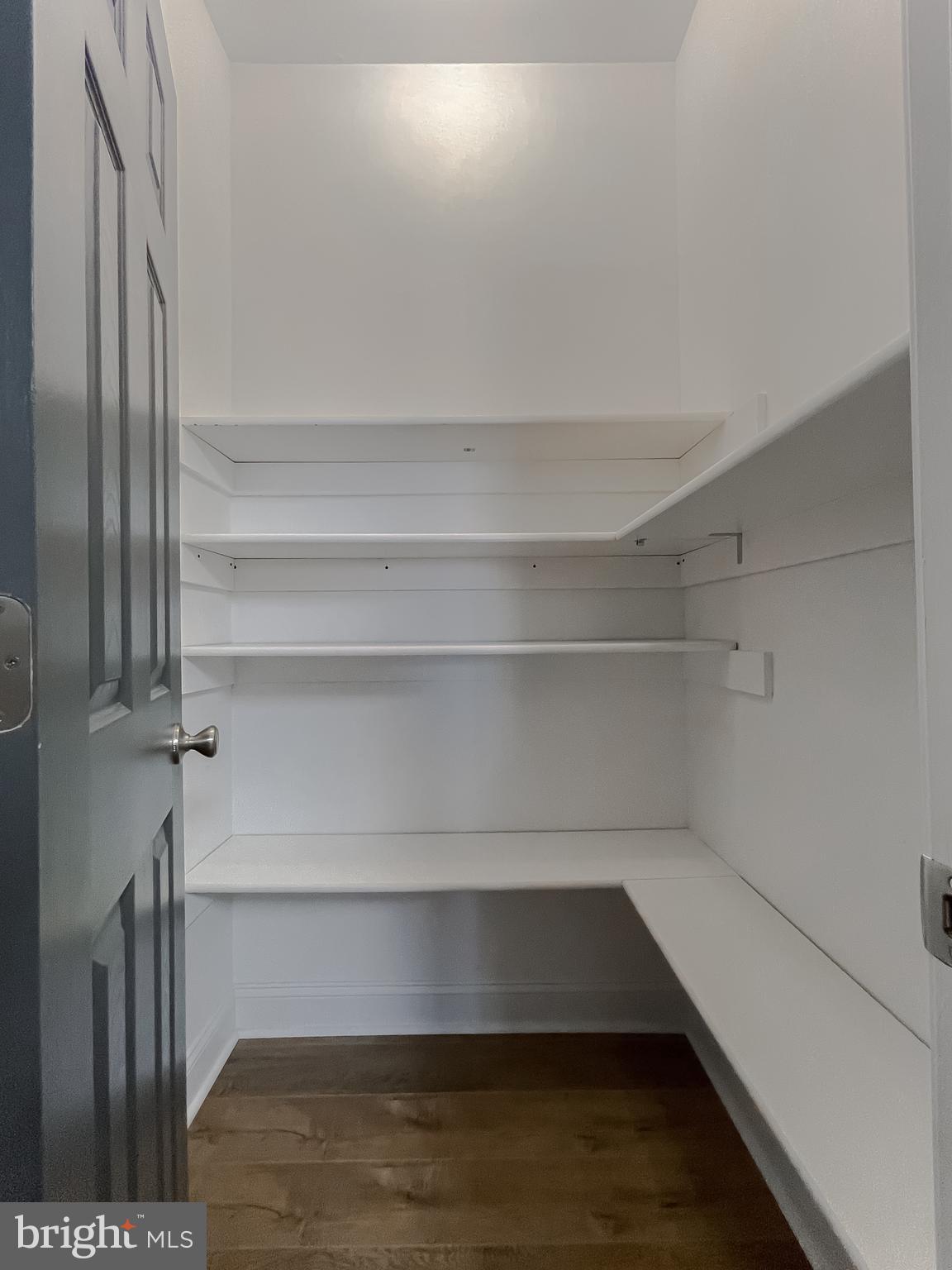 22030 Cartwright Road Leonardtown, MD 20650 - Photo 30 of 82 Walk-in pantry