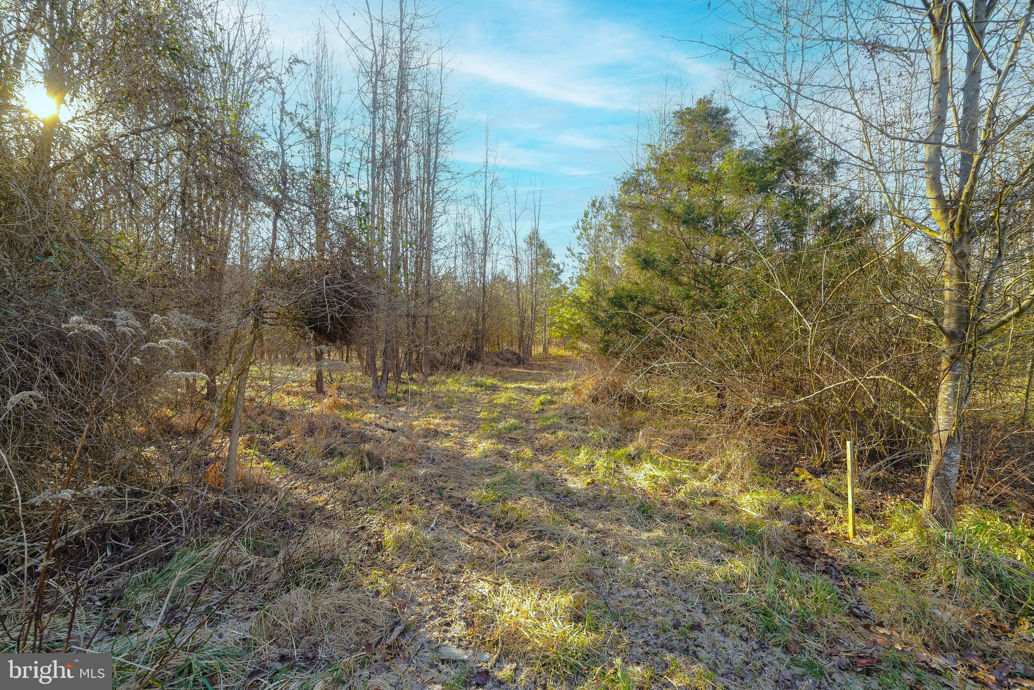 22030 Cartwright Road Leonardtown, MD 20650 - Photo 61 of 82 Gallery Image 61